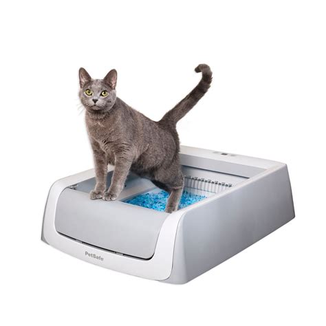 petsmart electric litter box|petsmart scoopfree litter box.